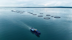 正在海洋牧场丰登取优良稻种培育范畴协同发